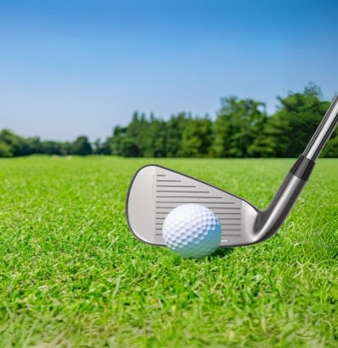 Cobra DS-ADAPT Irons