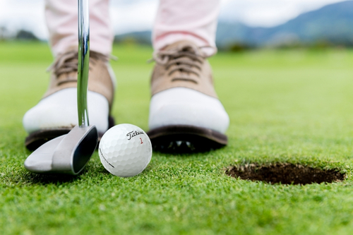 putting titleist pro v1x golf ball
