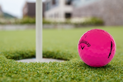 Callaway Reva Golf Ball by the hole